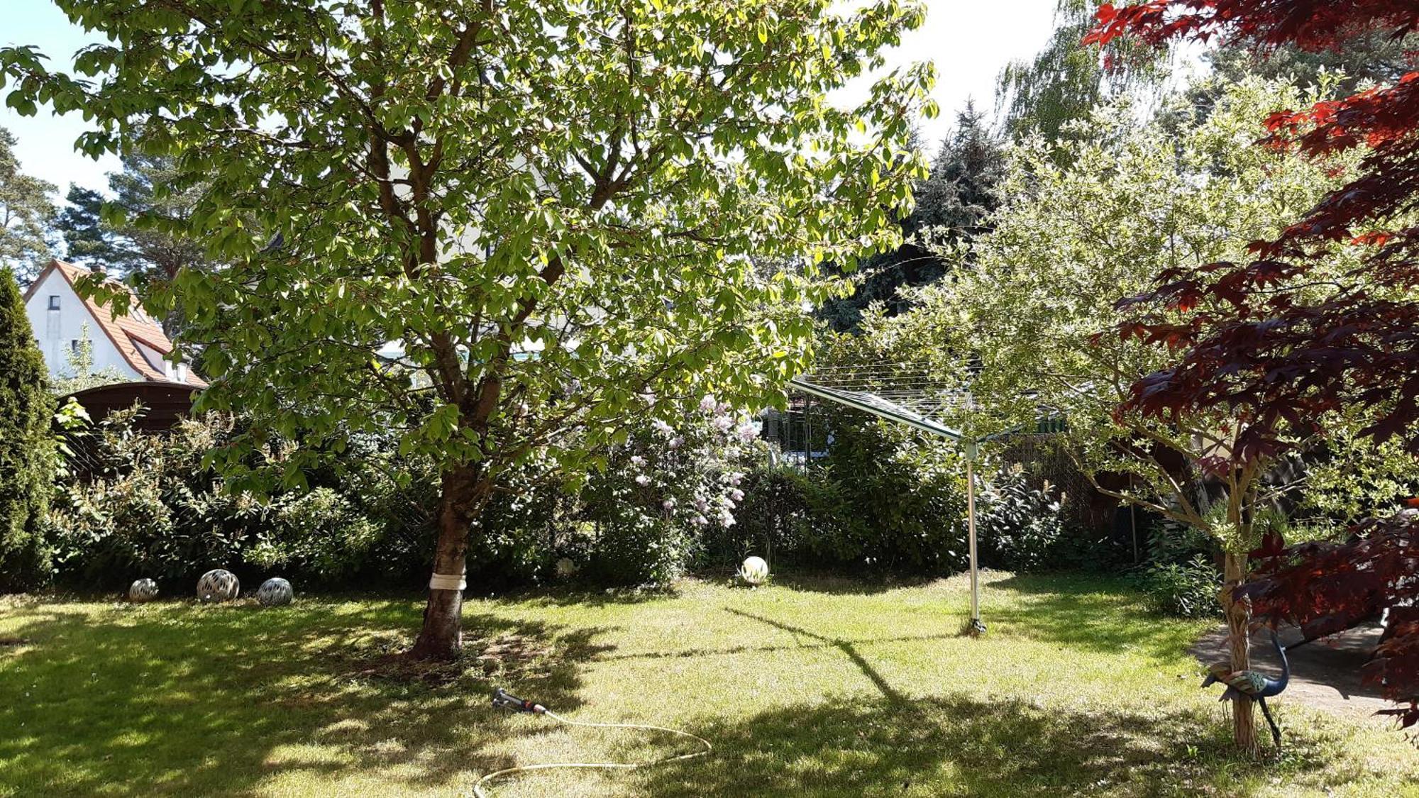 Ferienwohnung Luise, Gemuetlich, Freundlich Und Ganz Nah An Berlin Oranienburg Buitenkant foto