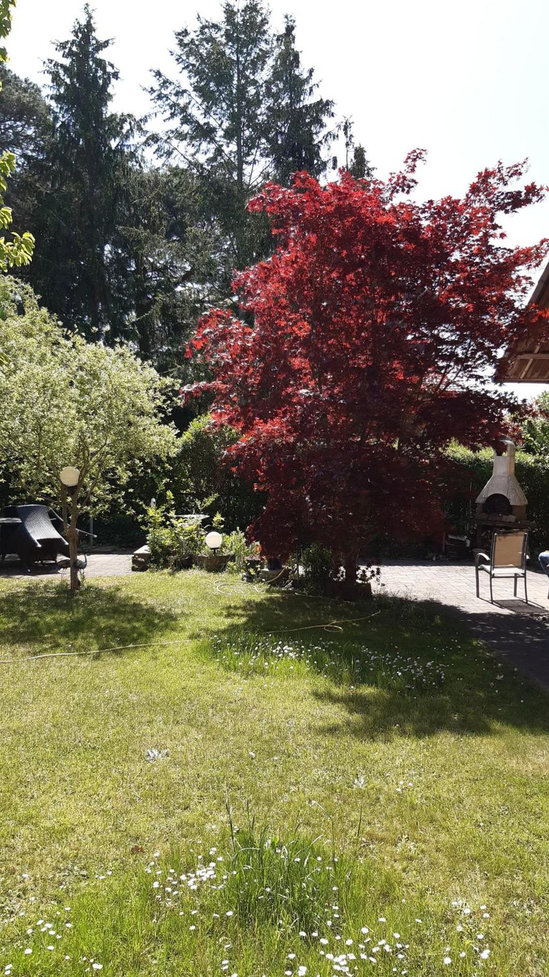 Ferienwohnung Luise, Gemuetlich, Freundlich Und Ganz Nah An Berlin Oranienburg Buitenkant foto