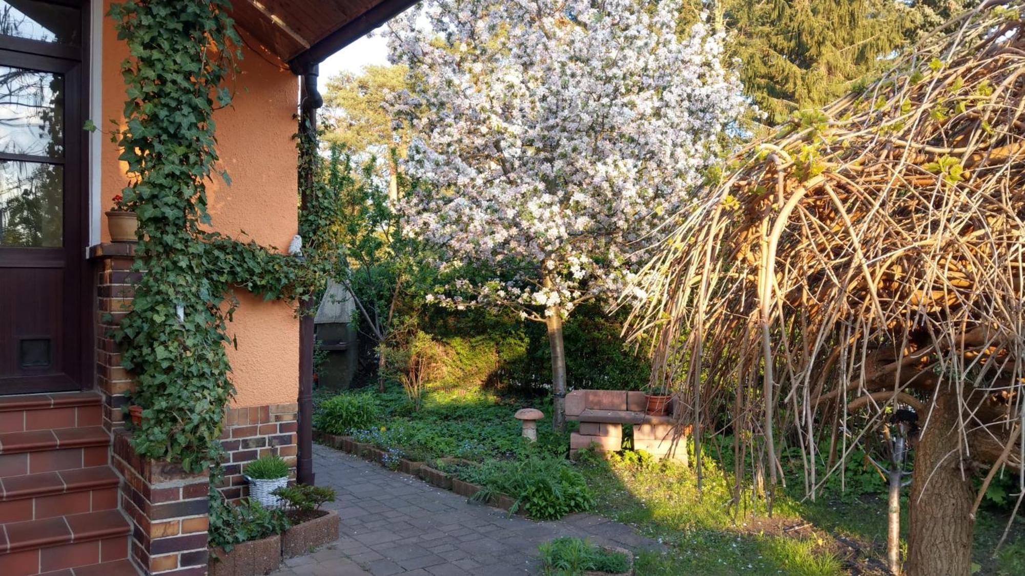 Ferienwohnung Luise, Gemuetlich, Freundlich Und Ganz Nah An Berlin Oranienburg Buitenkant foto